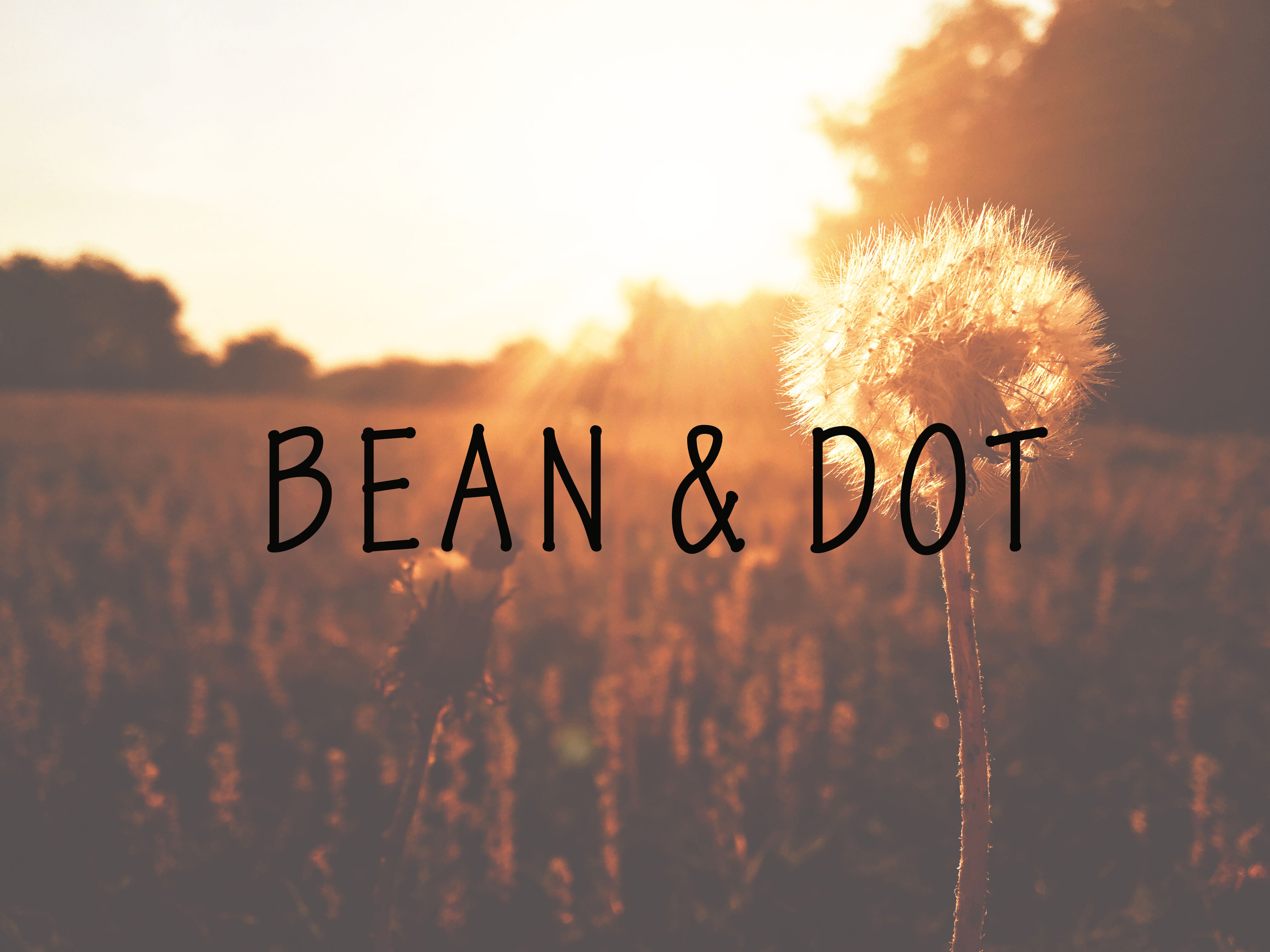 Bean & Dot